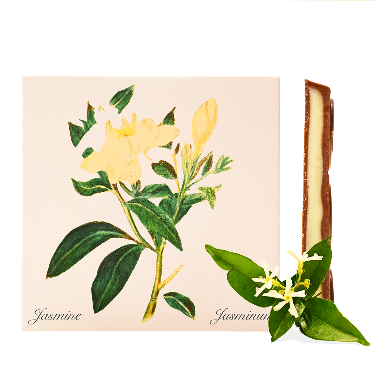 Jasmin