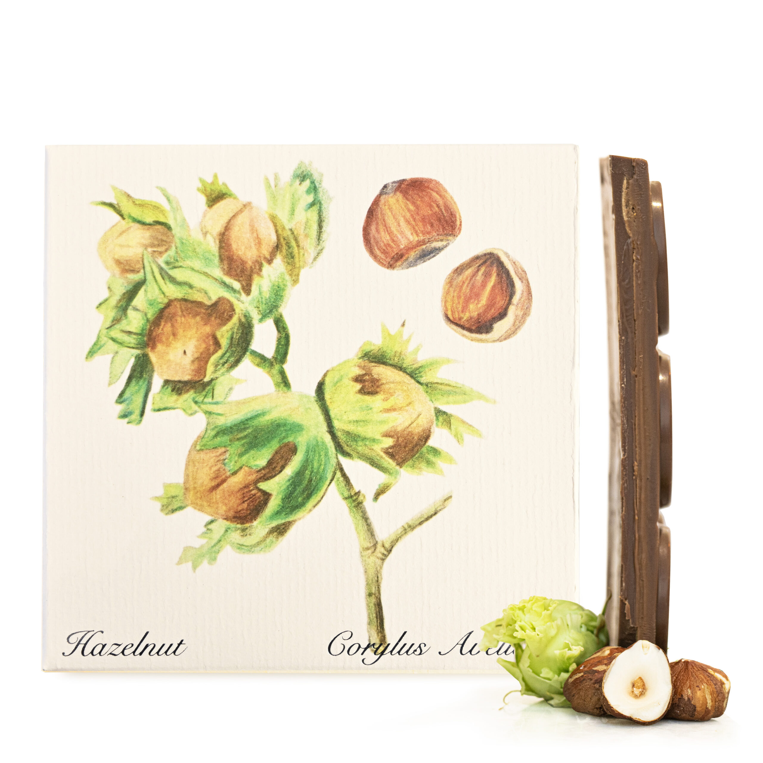 hazelnut-botanical-vertical-2-1-scaled-1